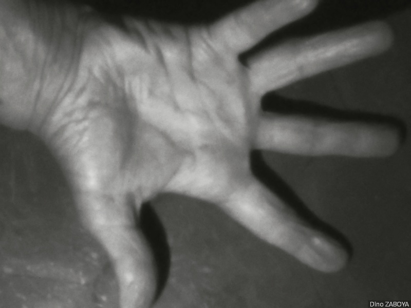main_photo_01