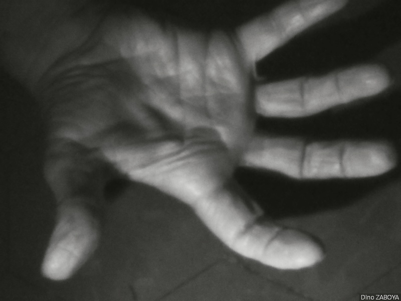 main_photo_06