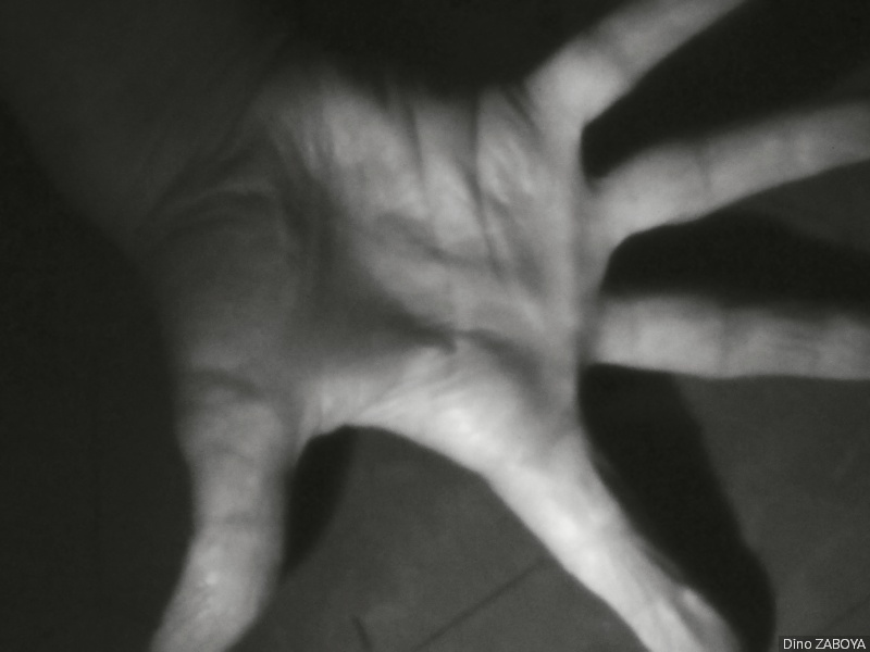 main_photo_07