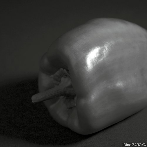 poivron_photo_02
