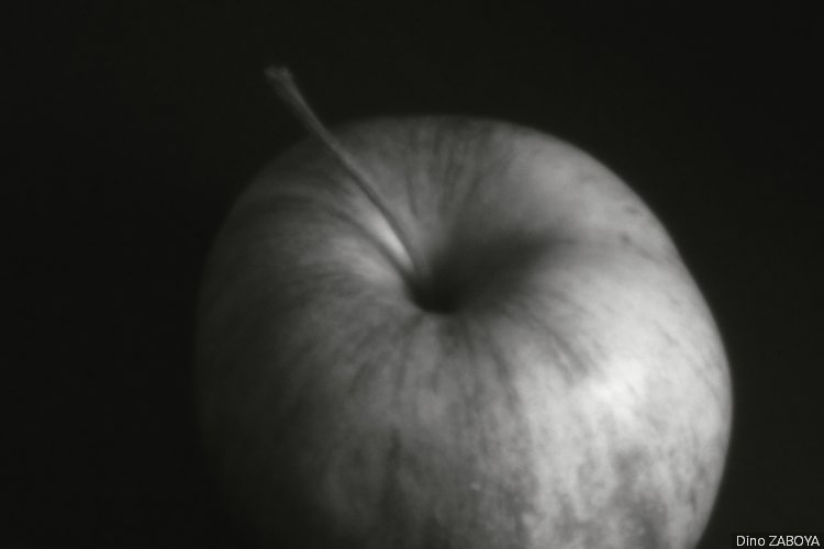 pomme-lune_photo_01
