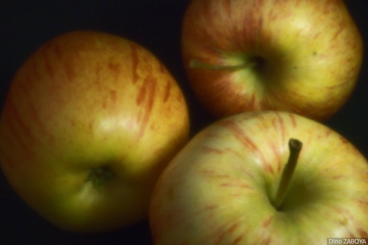 pomme_photo_01