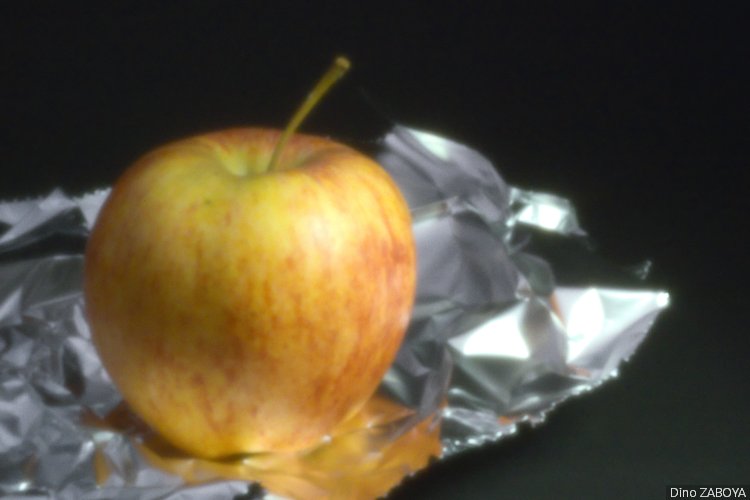 pomme_photo_04