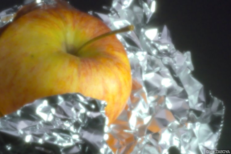 pomme_photo_05