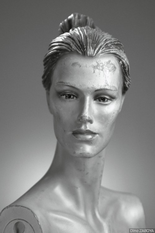 resilience_photo_01